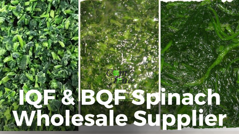 Unlock Exclusive SpinMacho Bonuses and Free Spins Worldwide Today